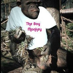 The Boy Monkey
