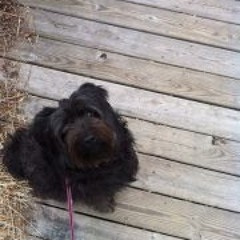 lovejoyheather@gmail.com