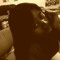 Lisa TeamBreezy Reynolds