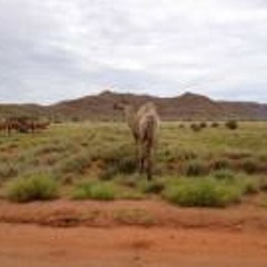 Timothy Jonathan Maybury