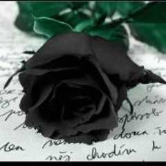 Berenice Hernandez 2