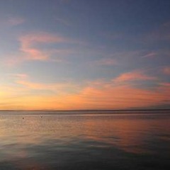 NuView