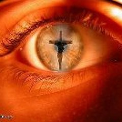 Rochelle Farr Sannipoli