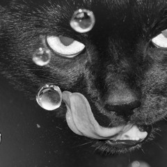 Kingdom hearts, Dearly Beloved....... improv