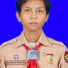 Muhammad Rinaldo