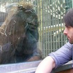 Sam Wheeler-Phillips