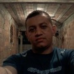 Renato Mea Ribeiro