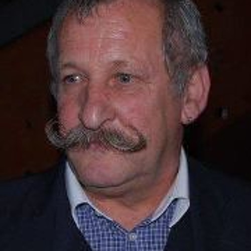 Franc Kokalj’s avatar
