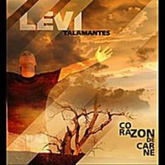 Levi Talamantes