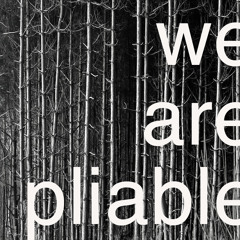 We Are Pliable