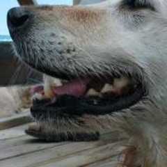 Roberto Tenorio Martin