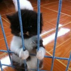 Meek Millz instrumental