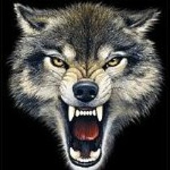 Laser Wolfe