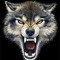 Laser Wolfe