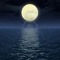 Lunar Light