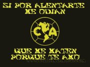 Caballero Shaka De Virgo