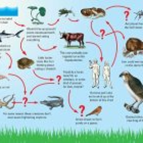 Stream Laurence Fishburne music Listen to songs, albums, playlists