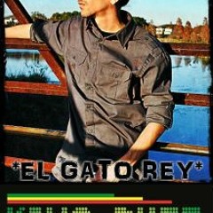 ElGatoReyOfficial