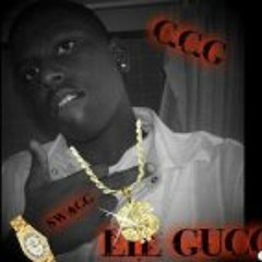 Emory Lilgucci Brown