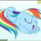Koa Pony