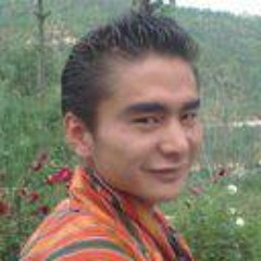 Tashi Dargay