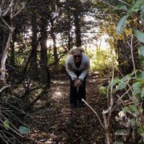 Stream Rachelle Wood 1 music Listen to songs, albums, playlists for