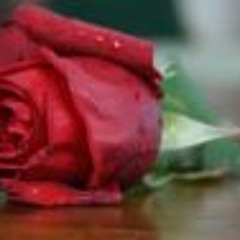 Rand-Crystal Shaqdieh