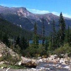 Wayneroth71@hotmail.com