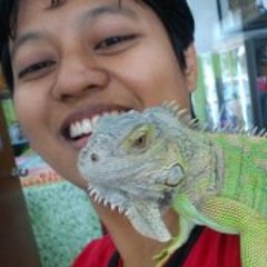 Dian Shariza