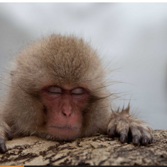 Beautiful Information