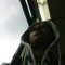 Oliver Bou