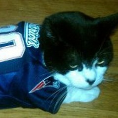 Renee Barillot Shade