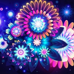 novoagricultorportugues