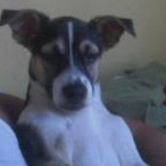 Jay Melo Hernandez