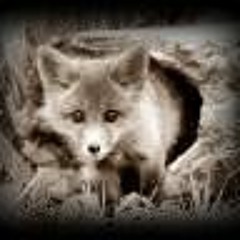 Lisia-Nora Nagryff/Fox-Hole Rec.