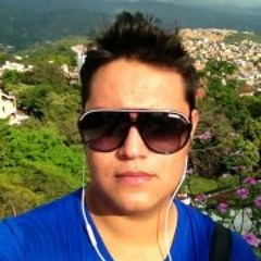 Rafael Vides Lavalle