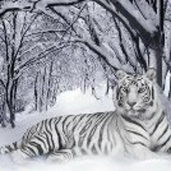 john01