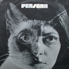 Stunty's City of Refuge