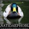 IBDDuck