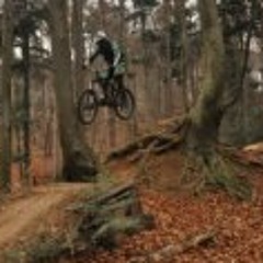 Johannes Schlütermann