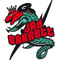 Jad Barrett
