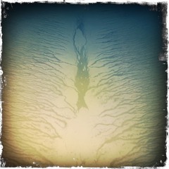 The Mind Of Robinson