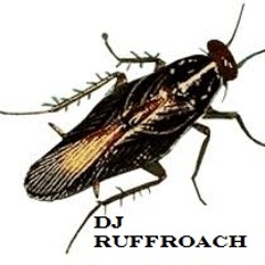 Ruff Roach