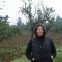 Maricarmen Aguilar Zuart