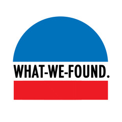 WHAT-WE-FOUND
