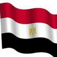 Mohammed Ahmed Shawky
