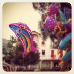 Maria Luisa Inguaggiato