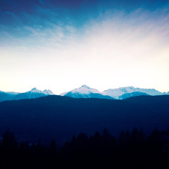 Liquid Prose Records