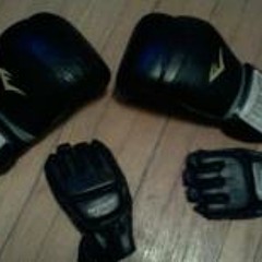 Arthur Guerreiro Ravenell