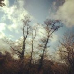 Wan Sasiwan Nawakanon